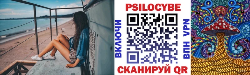 hydra как войти  Муравленко  Галлюциногенные грибы мицелий 